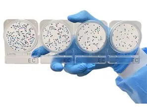 Compact Dry Ec Plate